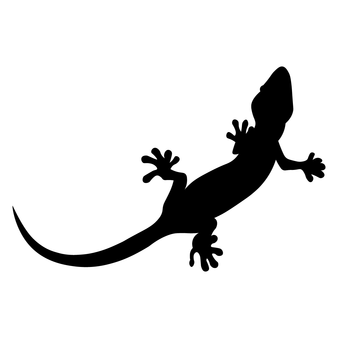 Logo gekkoforses NFT